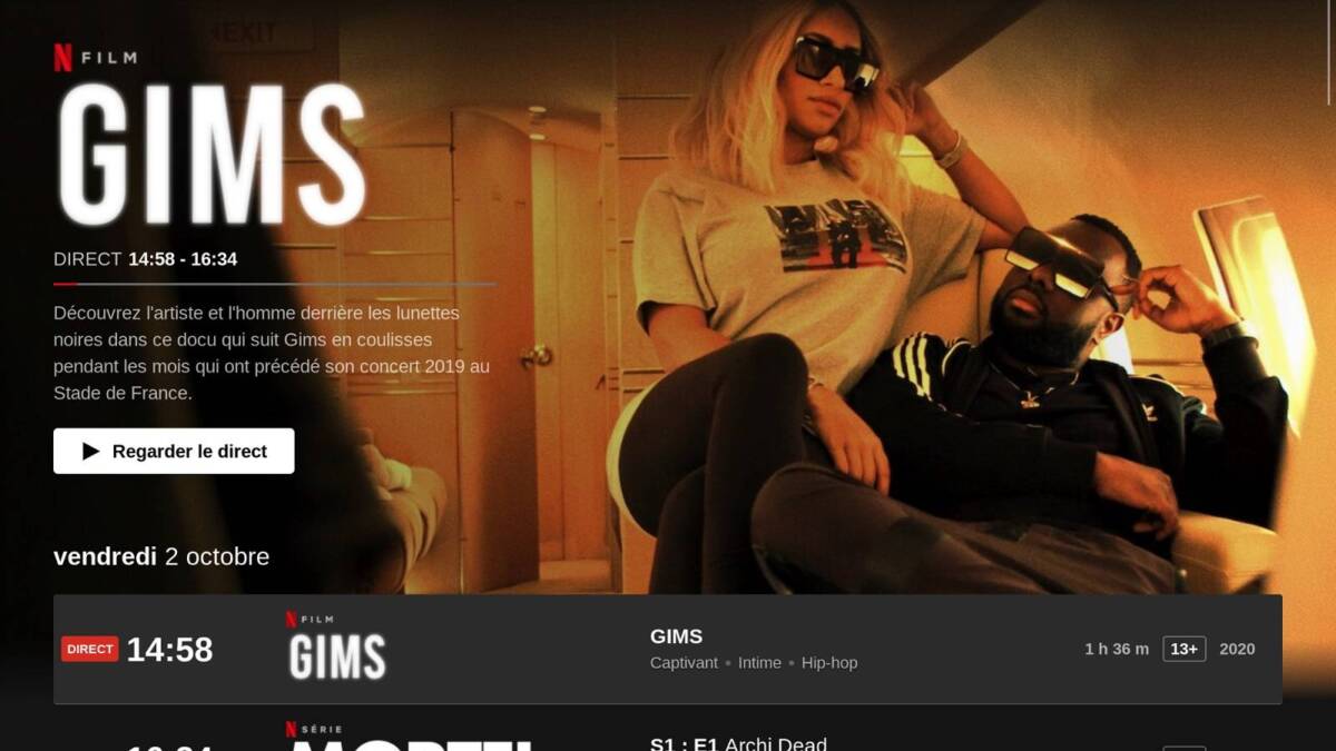 Экран телевизора с интерфейсом Netflix и программой GIMS
