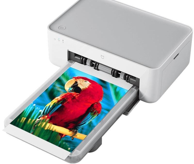 Фотопринтер Xiaomi с изображением яркого красного попугая