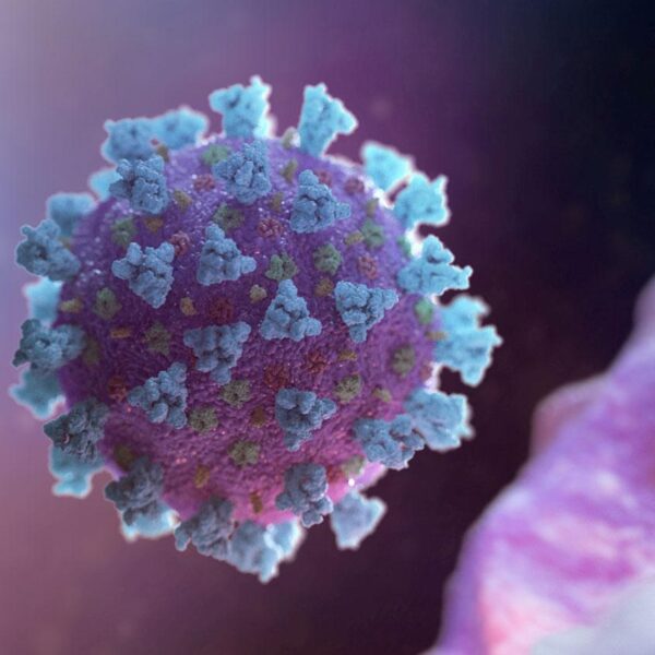upload 2020 02 18T205109Z 1645409347 RC243F9ECYR0 RTRMADP 3 CHINA HEALTH pic4 zoom 1500x1500 7863