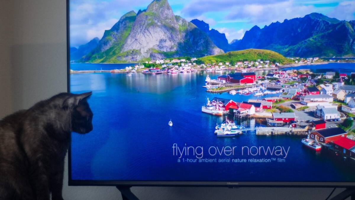 Обзор телевизора Hisense A7500F 43". Выгодная покупка 24 Телевизор Hisense с изображением живописного норвежского пейзажа