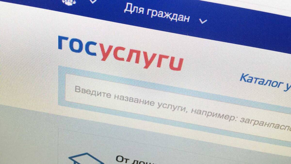 Экран сайта госуслуг с полем для ввода названия услуги