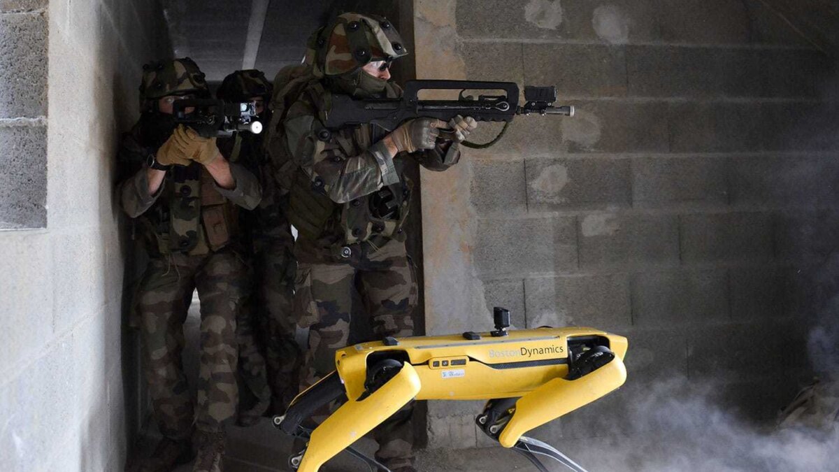french army with spot