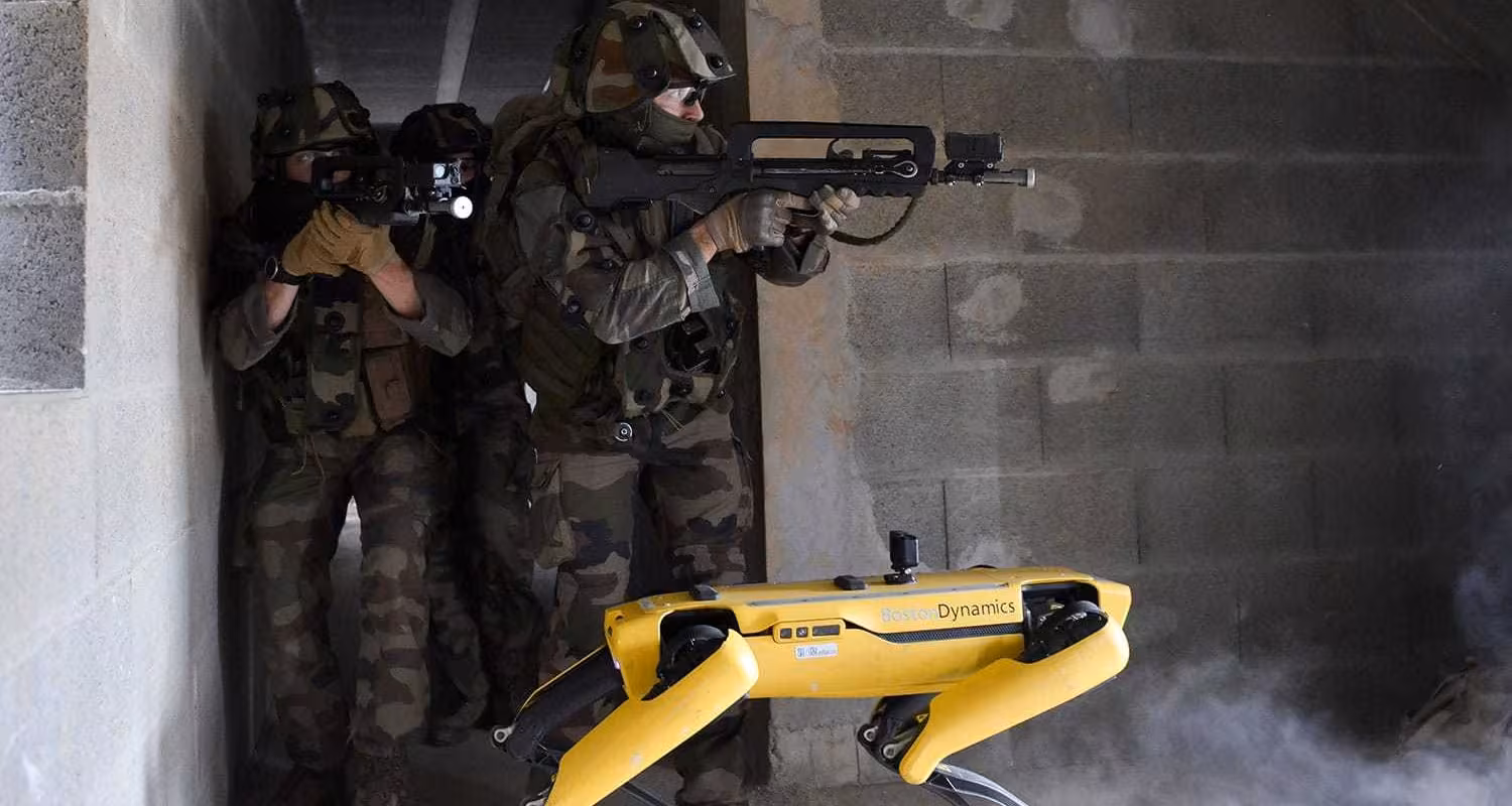 french army with spot