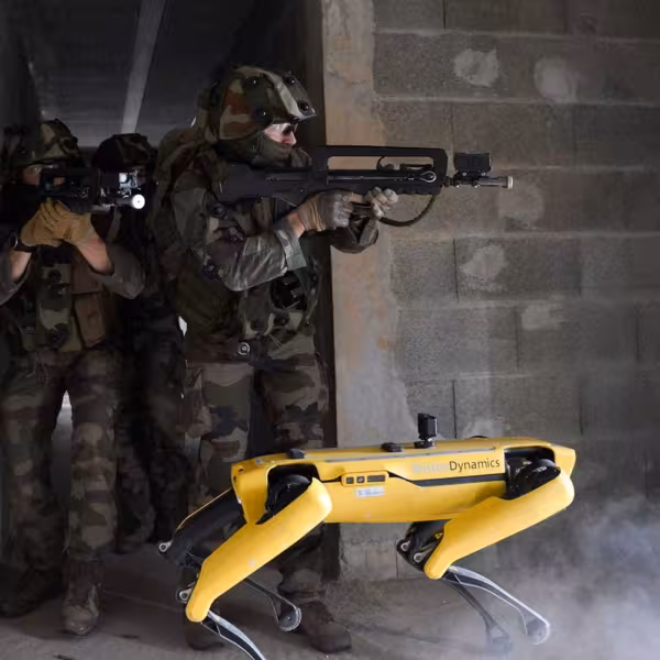 french army with spot