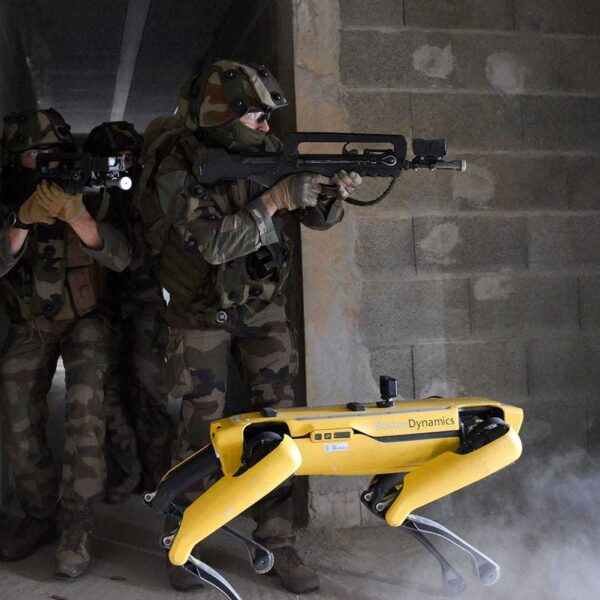 french army with spot
