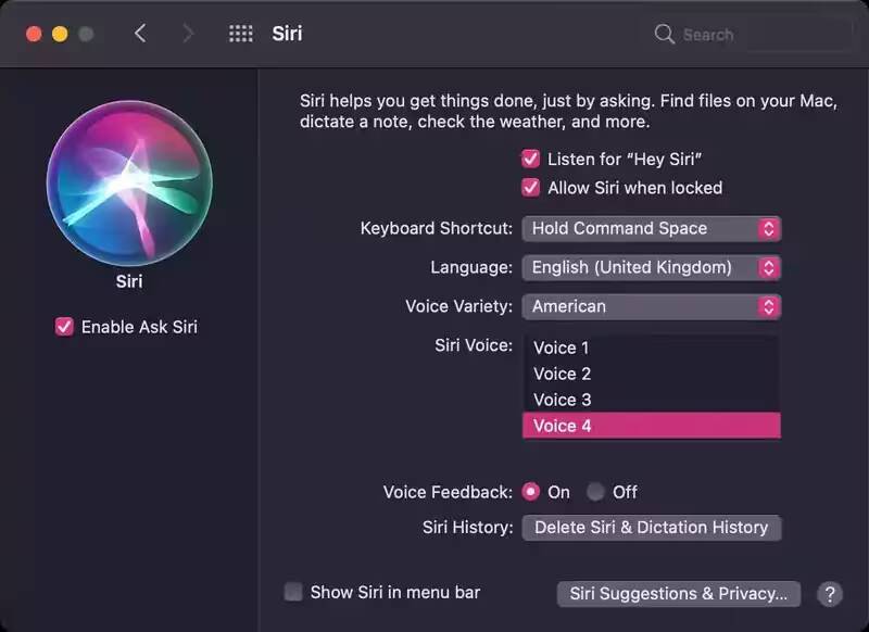 Настройки Siri на Mac с выбором голоса и языковых опций