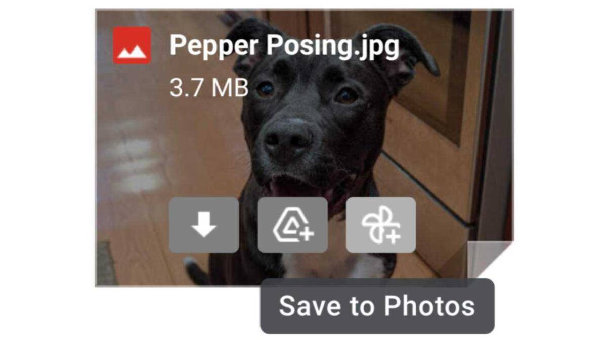 В Gmail теперь может сохранять фотографии напрямую в Google Фото 5 Иконка Google Фото с изображением щенка Pepper на фоне домашней кухни