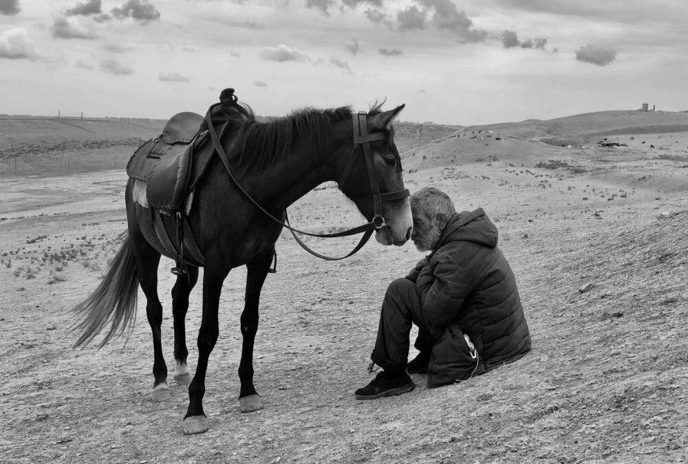 Apple объявила победителей конкурса iPhone Photography Awards 2021 5 01 poty sharan shetty 1000x750 1