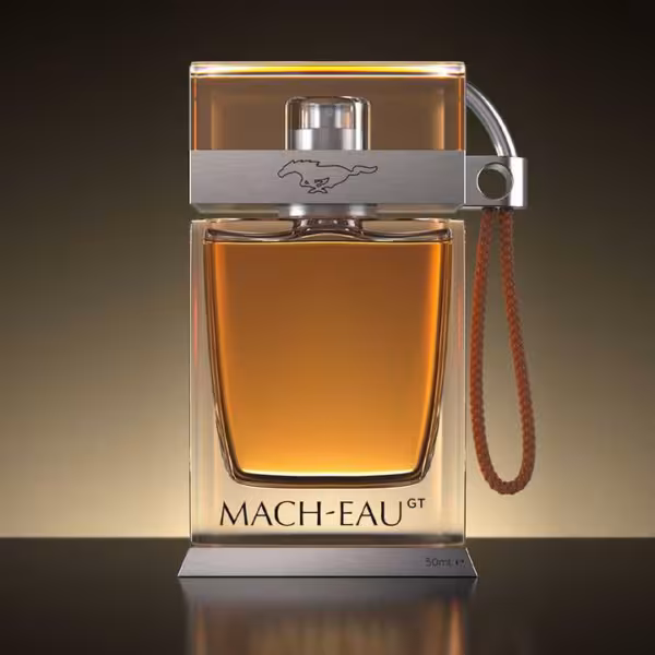 ford mach eau large
