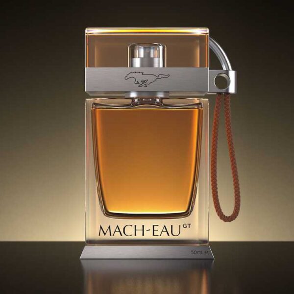ford mach eau large