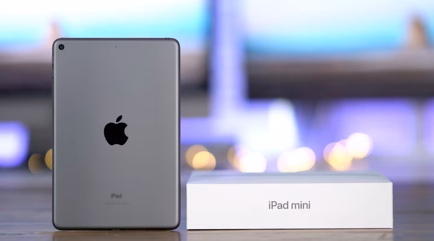 ipad mini large