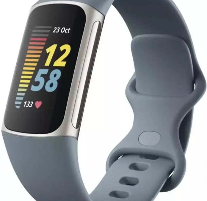 fitbit charge 5 gray 696x824 1