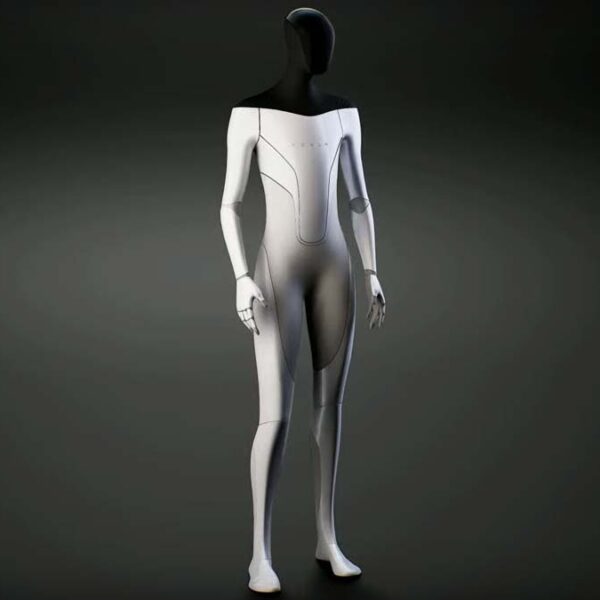 teslabot 2