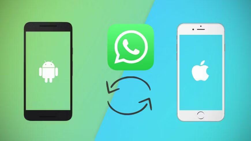 WhatsApp скоро позволит переносить историю чата между Android и iOS 2 WhatsApp перенос данных