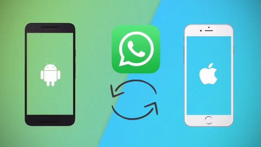 WhatsApp скоро позволит переносить историю чата между Android и iOS 2 WhatsApp перенос данных