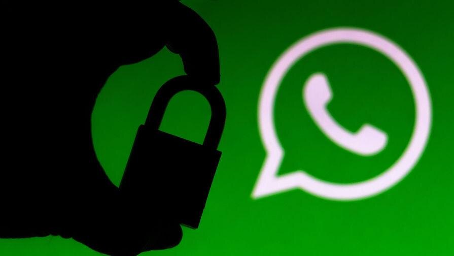 WhatsApp запретил массовую рассылку сообщений 3 Depositphotos 391236952 l 2015 pic905 895x505 75634