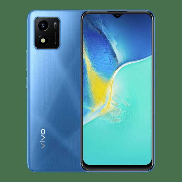 Vivo