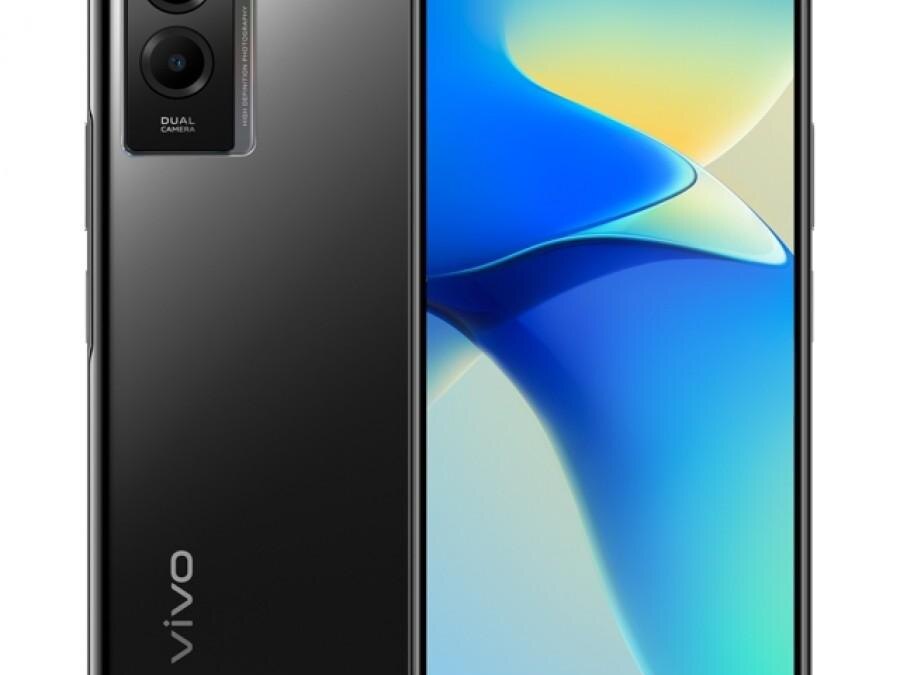 Vivo