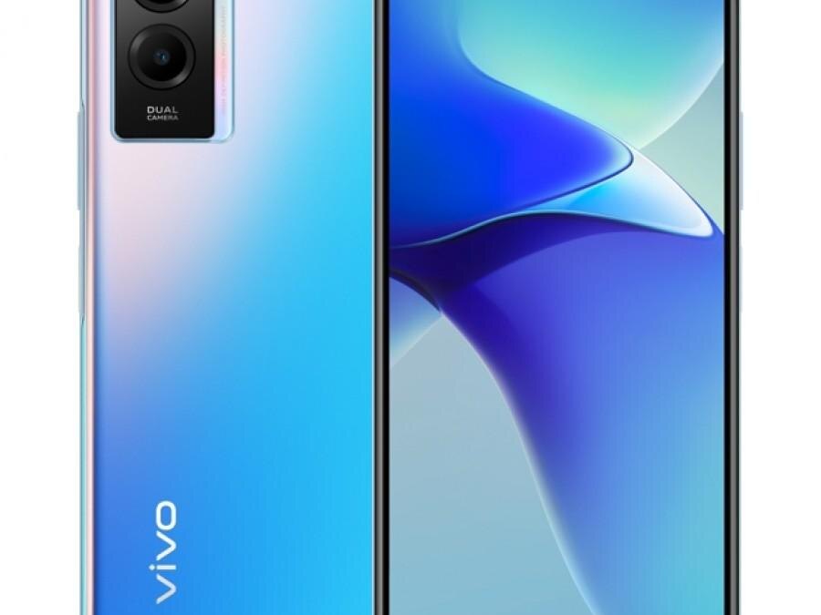 Vivo