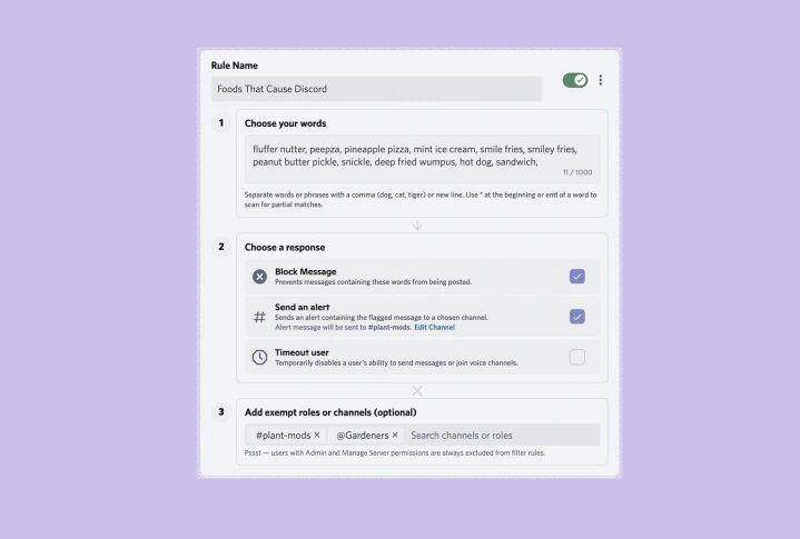 Discord AutoMod screenshot JPG
