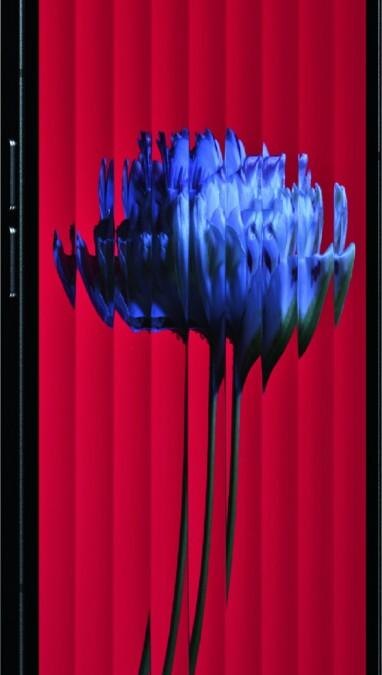 Nothing phone