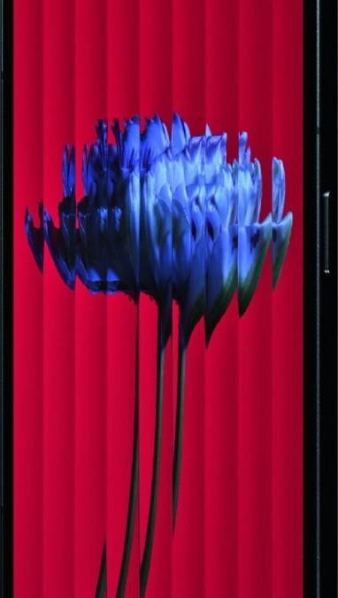 Nothing phone
