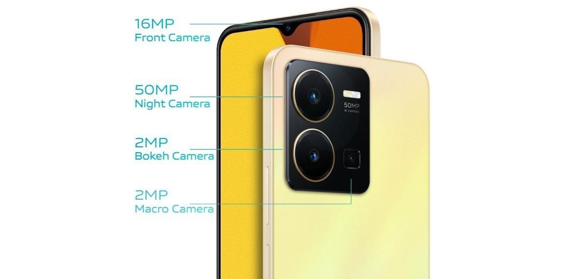 Vivo