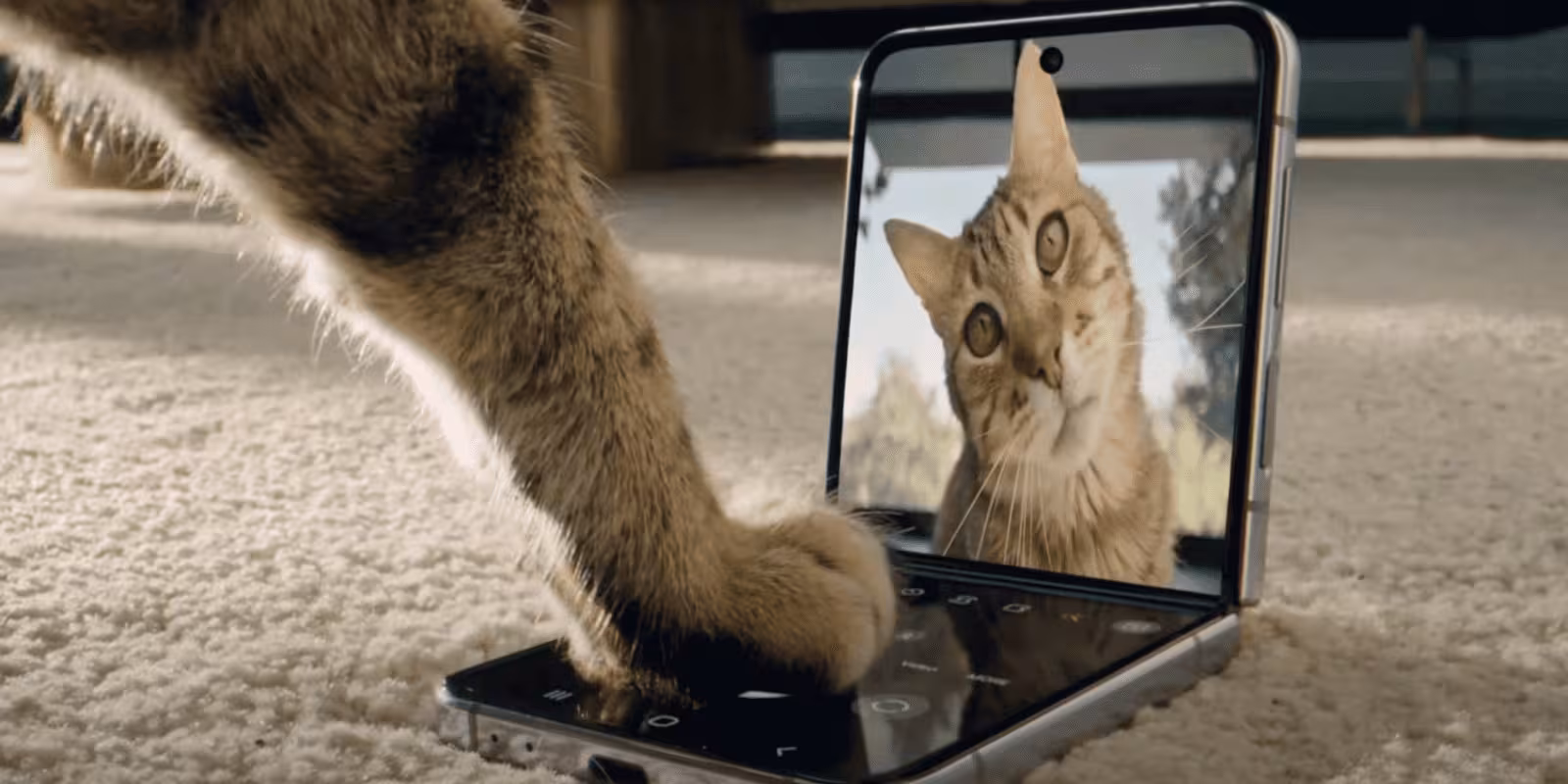 Новый Samsung Galaxy Z Flip 4: большая батарея, свежий дизайн и улучшенные камеры 2 Snimok ekrana 2022 08 10 v 17.16.09