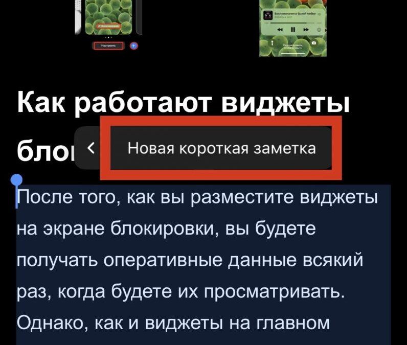 iOS 16: Что такое Короткая заметка, и как ей пользоваться 27 IMG 6561