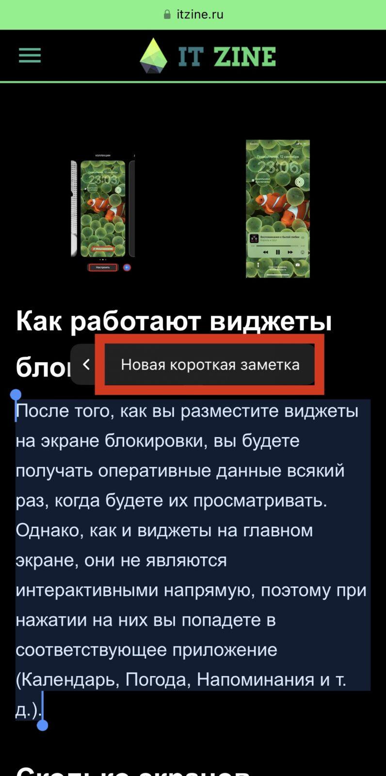 iOS 16: Что такое Короткая заметка, и как ей пользоваться 27 IMG 6561