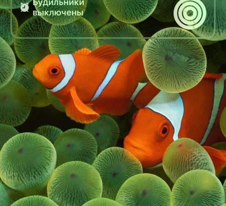 iOS 16: настройка экрана блокировки 28 iOS 16