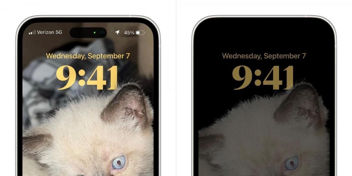 iPhone 14: в сеть утекла демонстрация двойного выреза для селфи-камеры 4 iPhone 14: в сеть утекла демонстрация двойного выреза для селфи-камеры