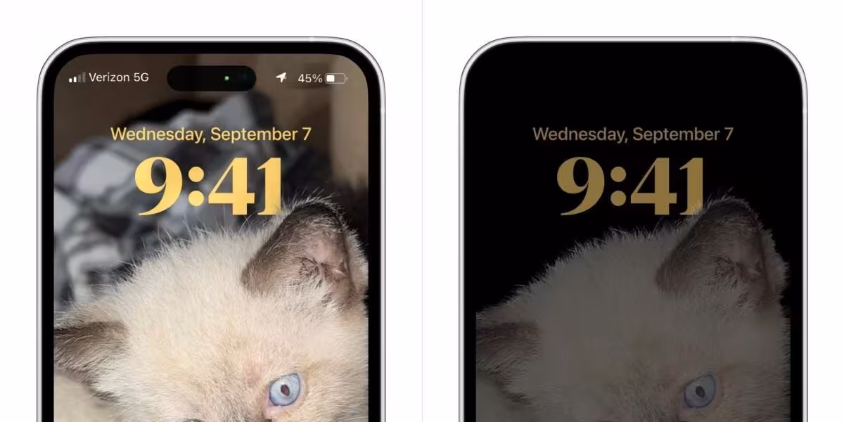 iPhone 14: в сеть утекла демонстрация двойного выреза для селфи-камеры