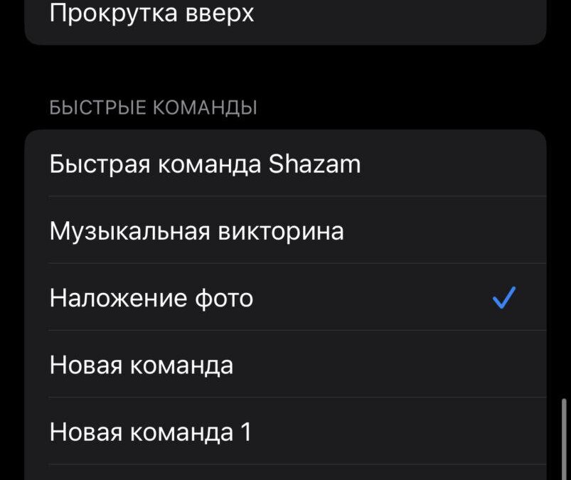 Секреты iOS: как использовать заднюю панель iPhone в качестве кнопки 14 IMG 6823