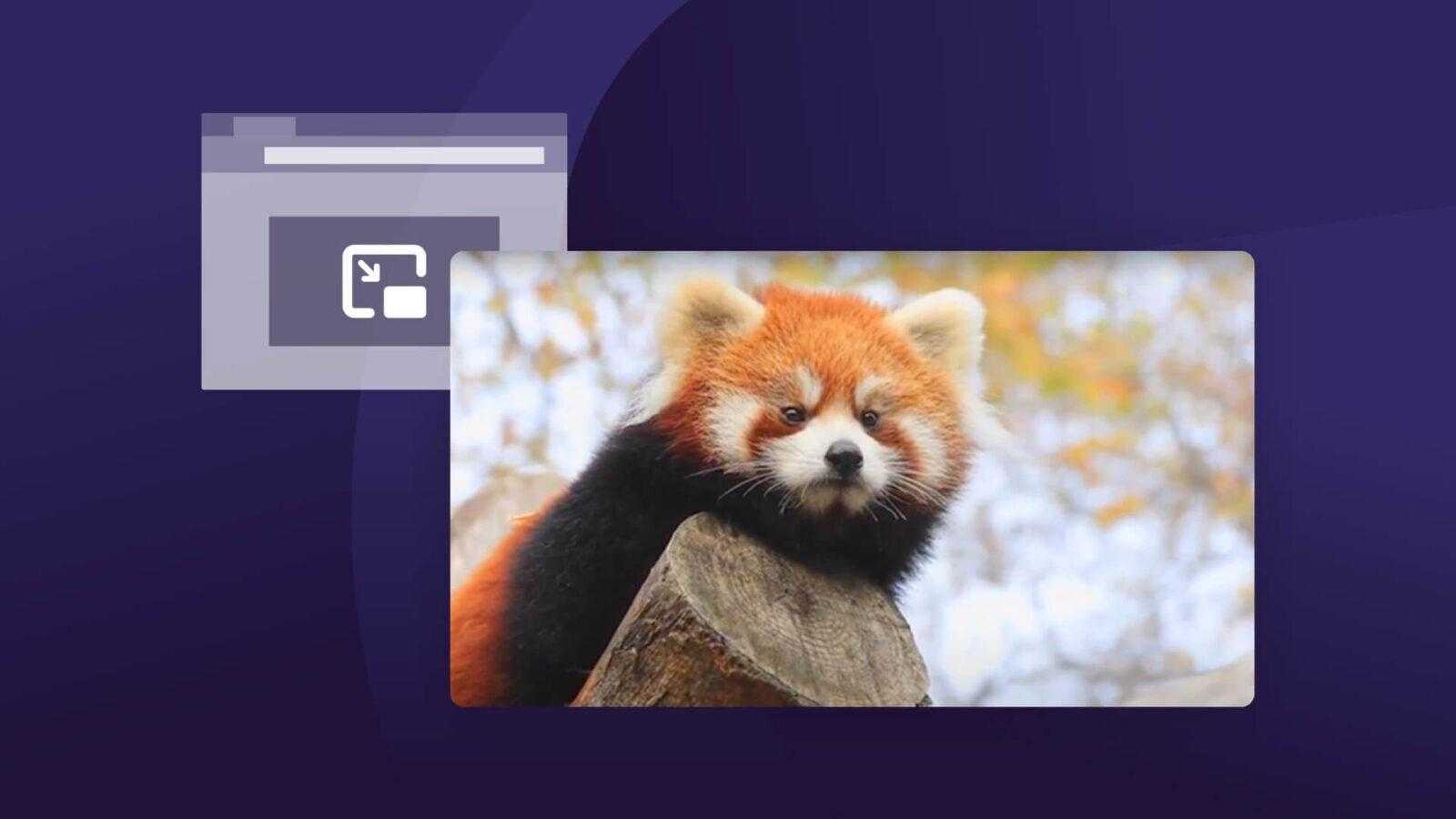 Google добавляет функцию "картинка в картинке" в Chrome 3 pip hero.714092ecfa0d