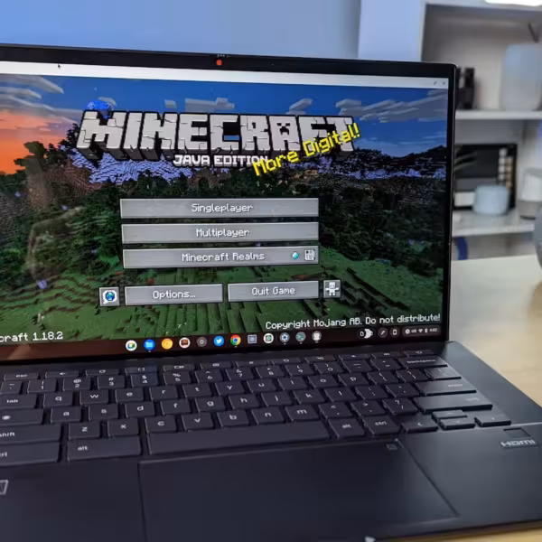 minecraft java chromebook linux
