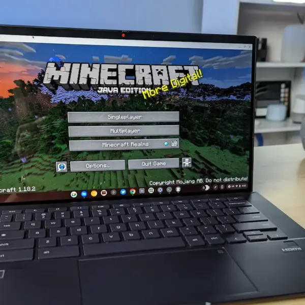 minecraft java chromebook linux