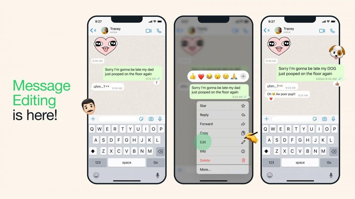 В WhatsApp* появилась функция редактирования сообщений 3 WhatsApp