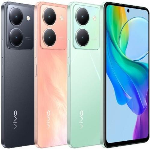 Vivo