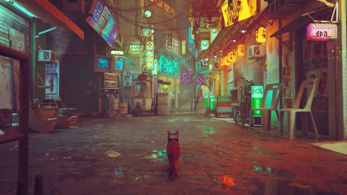 Stray выйдет на Xbox в августе 2 Stray