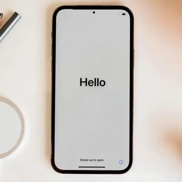 iphone with no notch.jpg