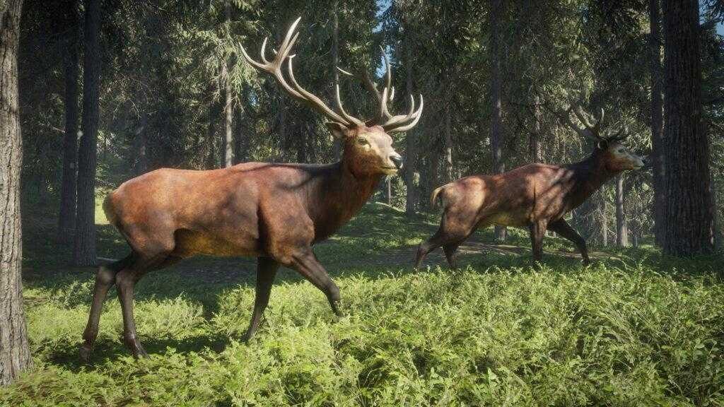 the hunter call of the wild 1024x576 1