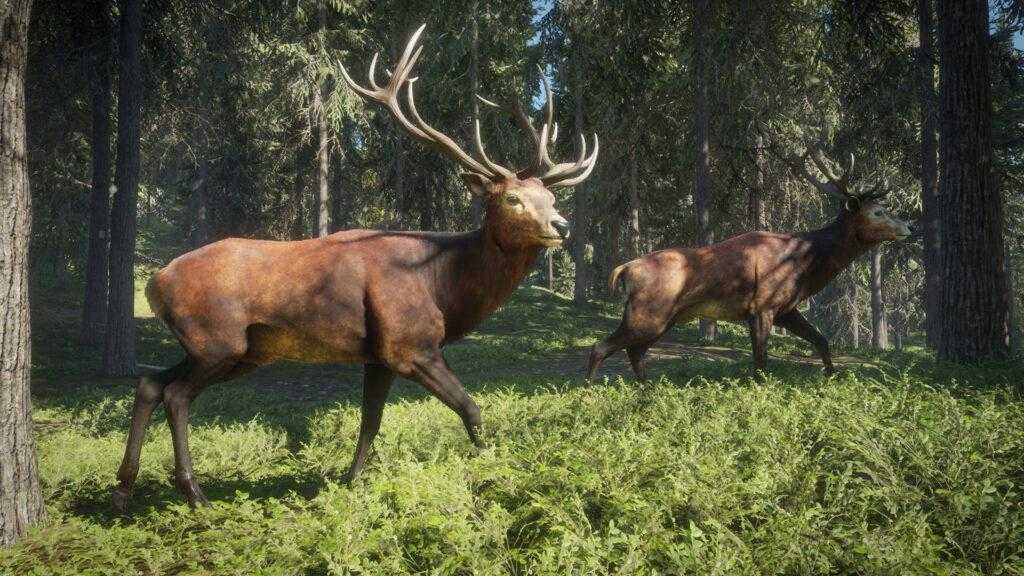 The Hunter: Call of the Wild станет бесплатной на одну неделю 3 the hunter call of the wild 1024x576 1