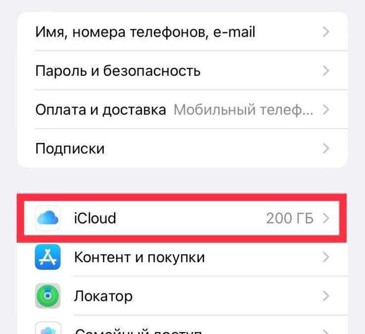 iPhone