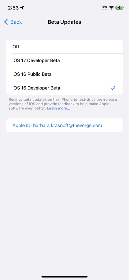 iOS 17: как установить бета-версии для разработчиков и публичной версии 10 iOS 17