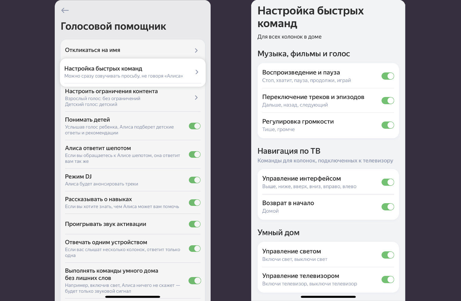 Алиса стала понимать команды без прямого обращения к ней 3 untitled