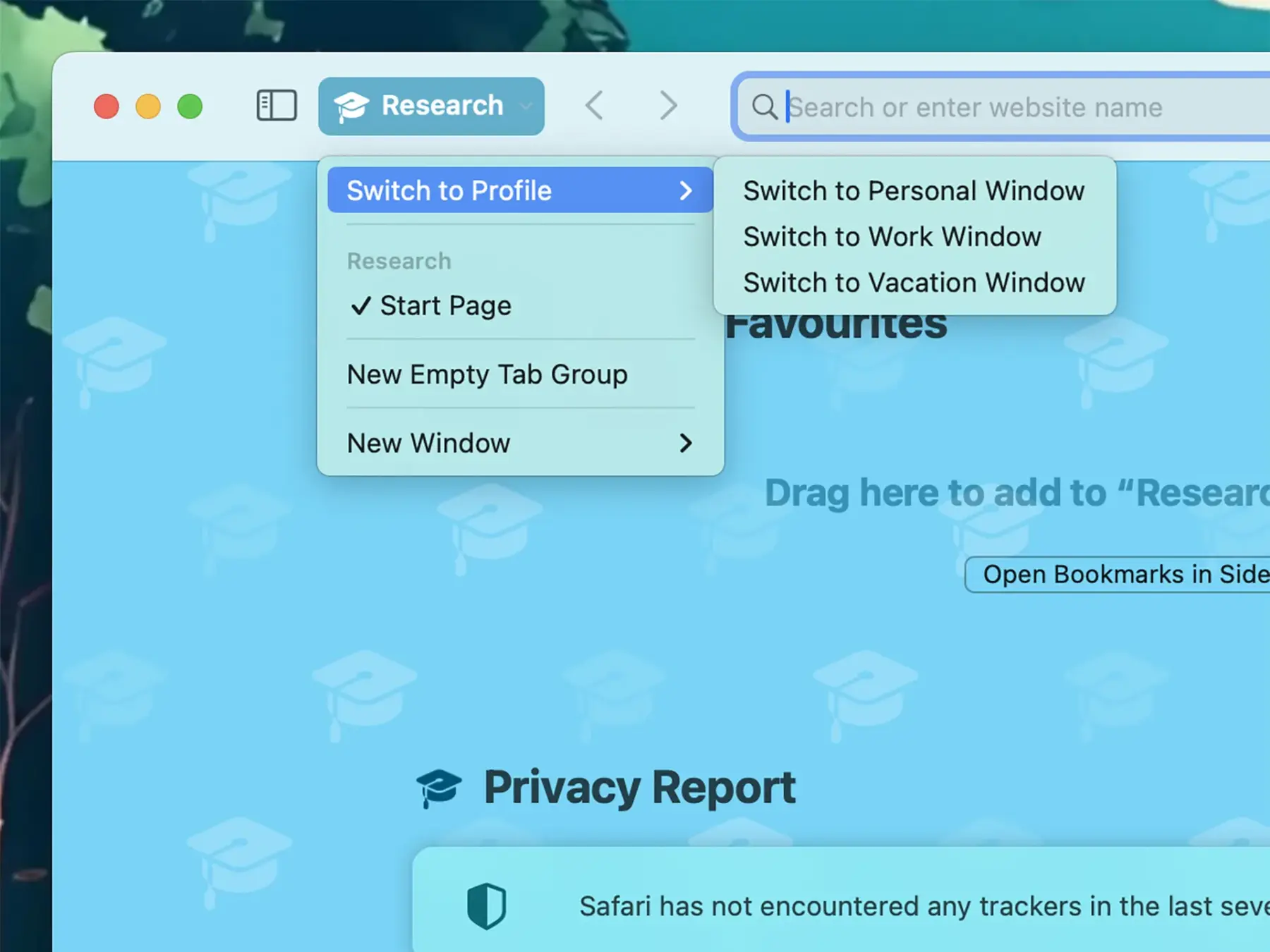 Safari: как настроить профили на macOS Sonoma 7 Safari