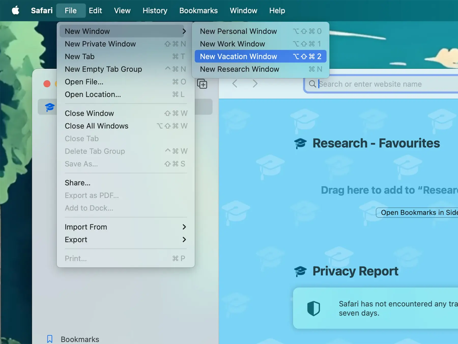 Safari: как настроить профили на macOS Sonoma 8 Safari