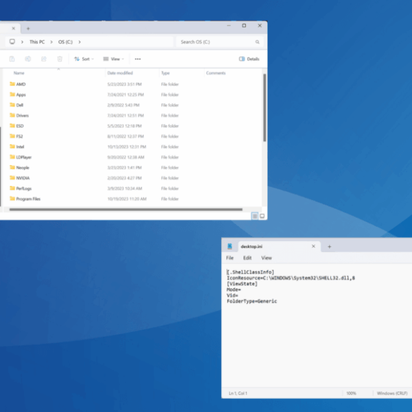Windows 11