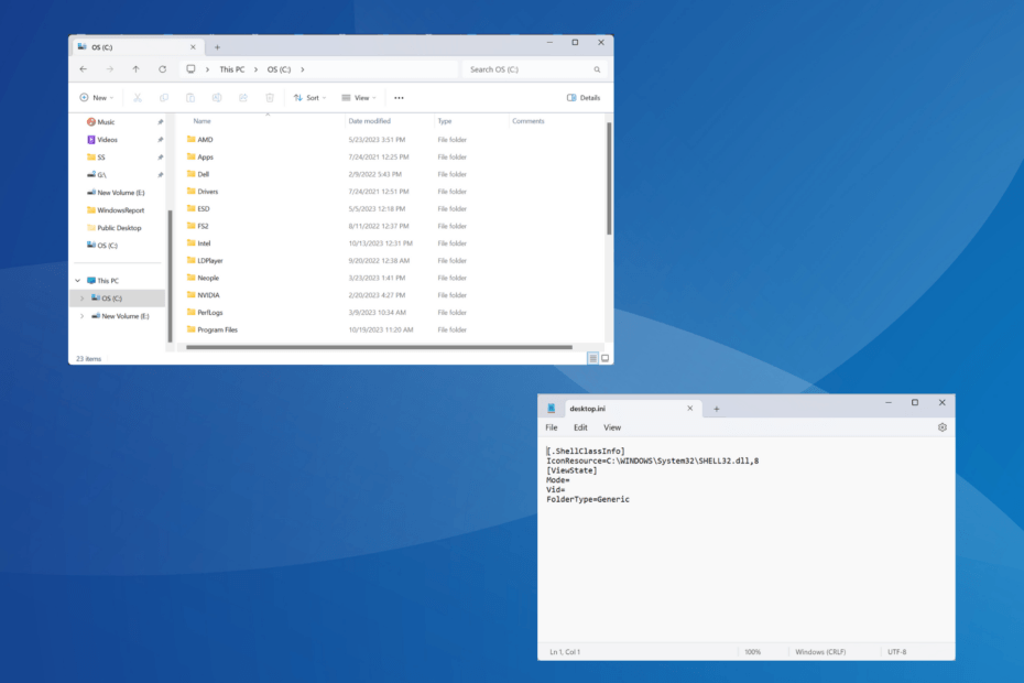 Windows 11